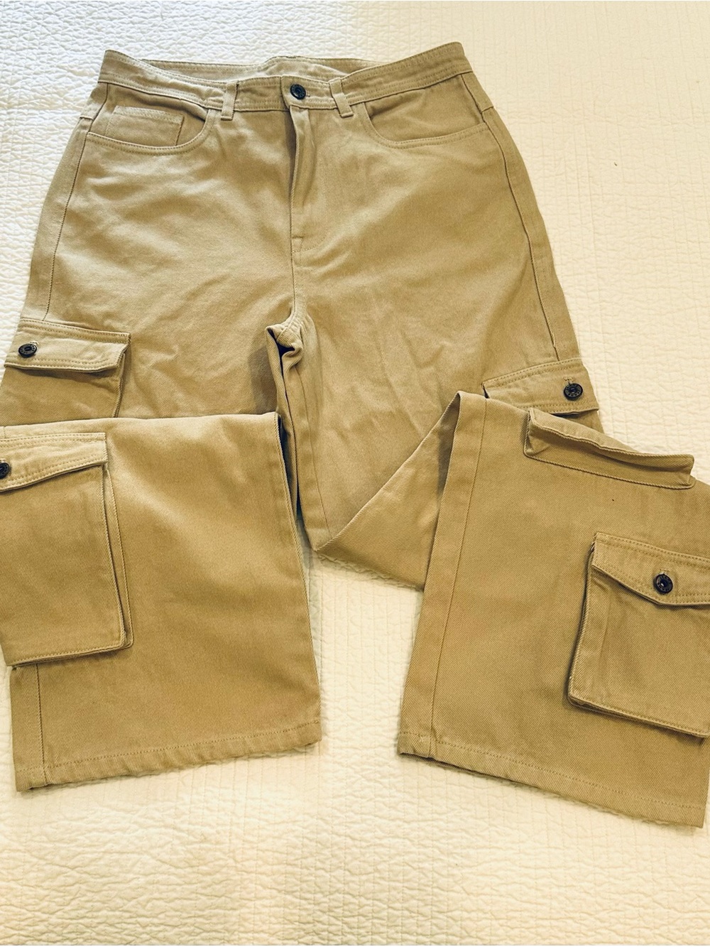 H2O Fagerholt Gad Cargo Pants | Size Small